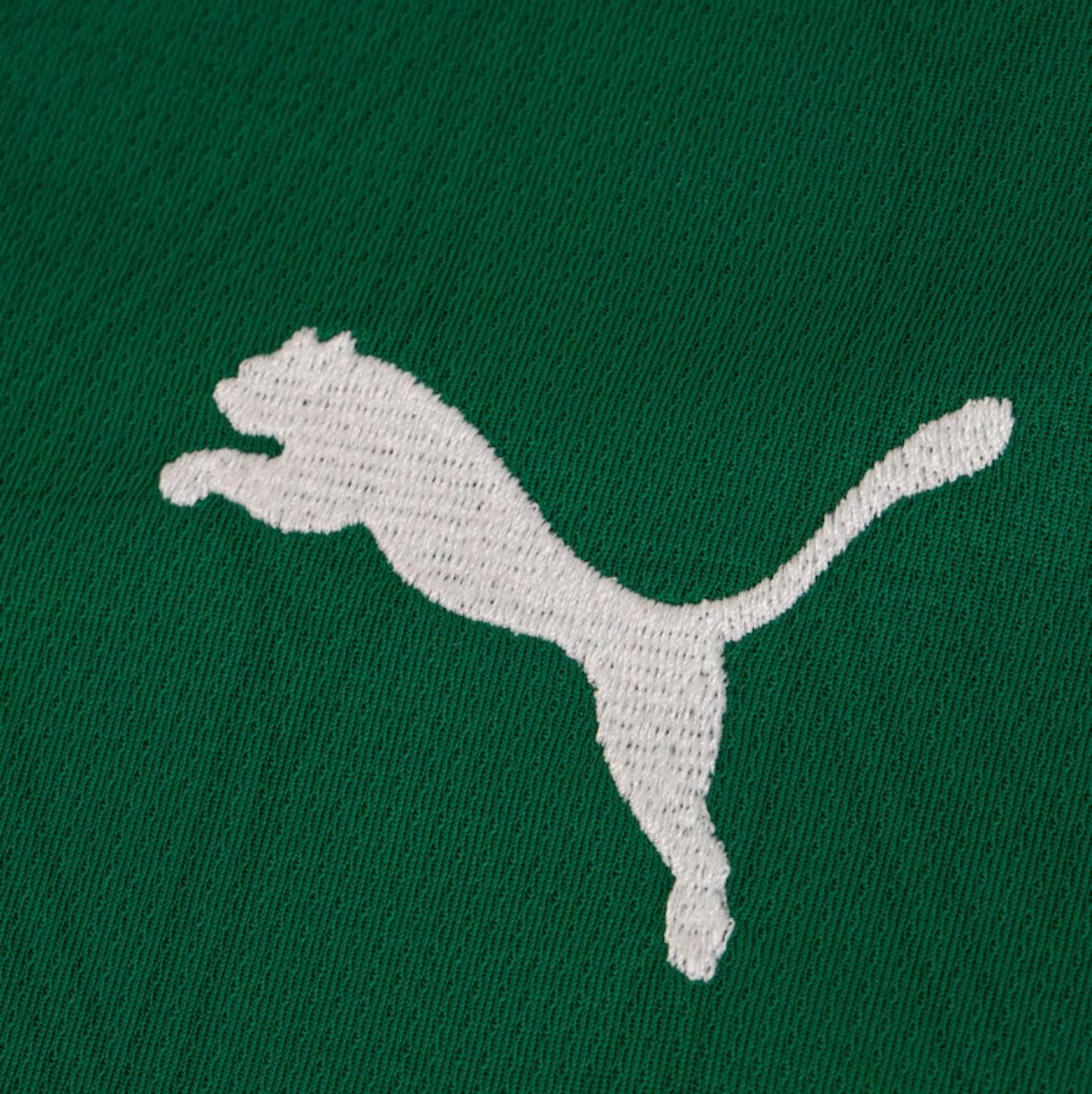 Camisa Palmeiras 25/26 - Feminina Puma | Super Mundial