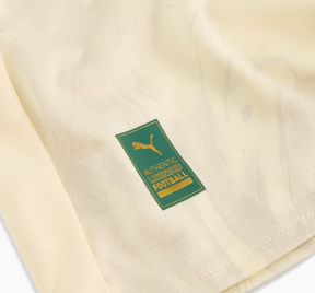 Camisa Palmeiras 25/26 - Edição Super Mundial