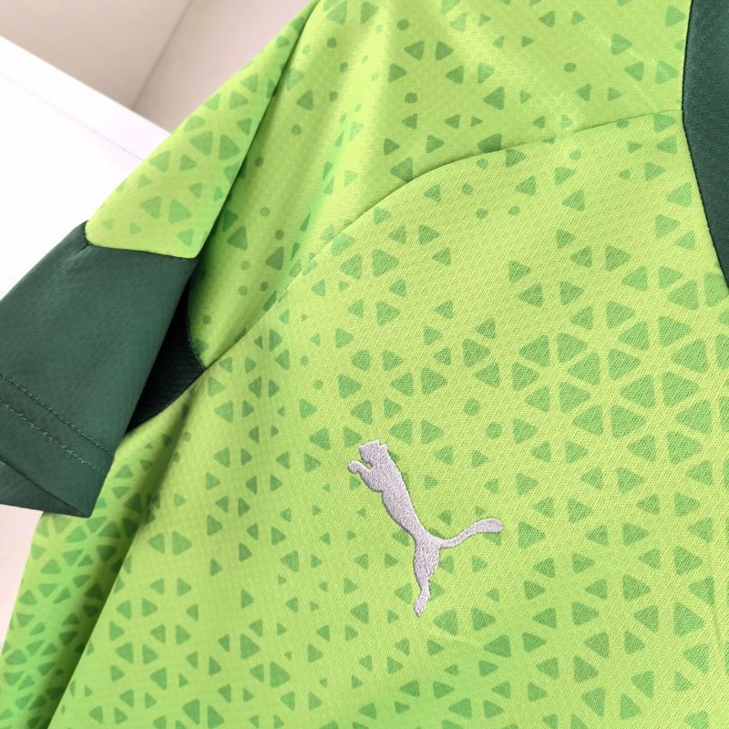 Camisa Palmeiras 24/25 - Treino